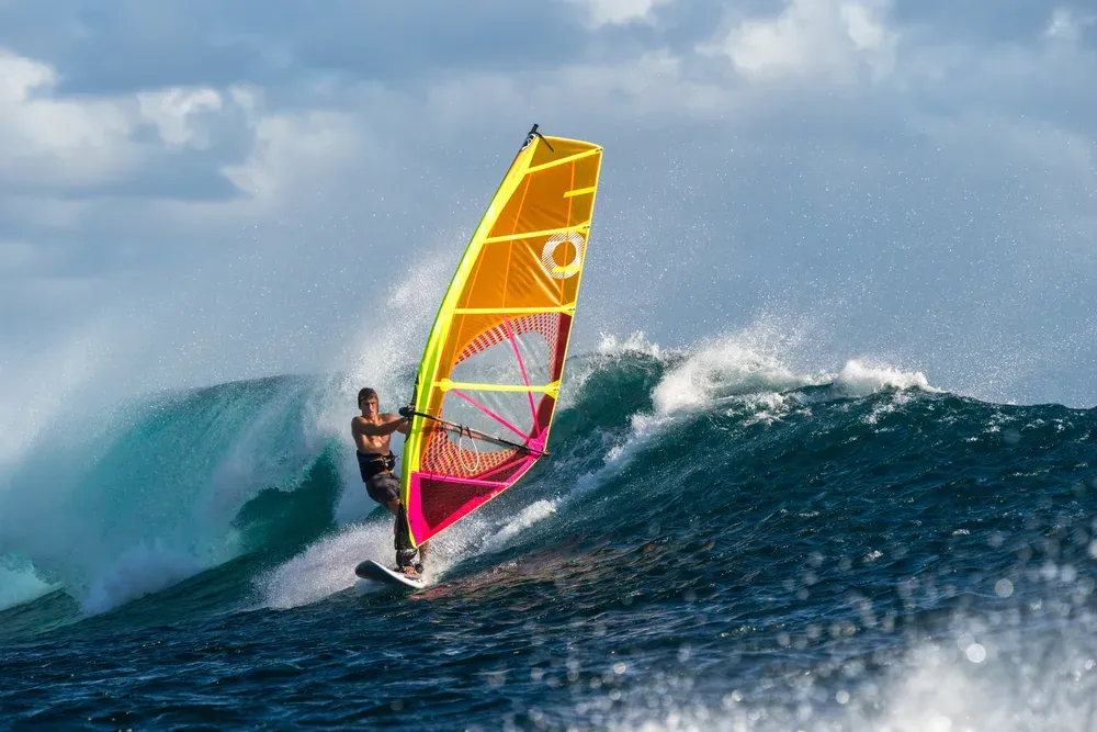 Windsurfer